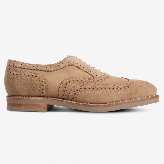 Allen Edmonds Neumok Suede Wingtip Oxford? Camel bxzRLS8f