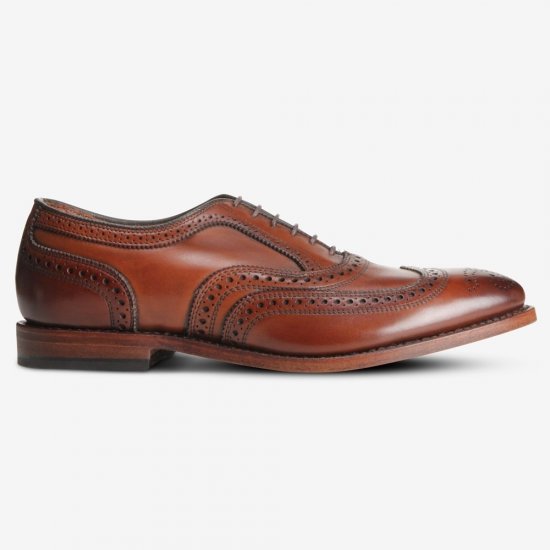 Allen Edmonds McAllister Wingtip Oxford Dress Shoe Dark Chili pln1cyF5