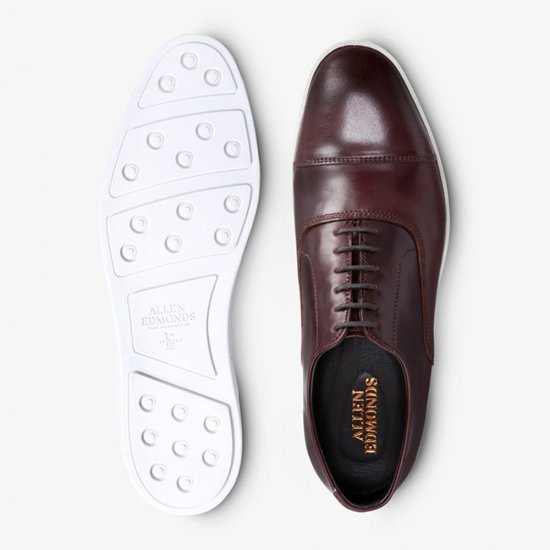 Allen Edmonds Park Avenue Shell Cordovan Oxford Dress Sneaker Burgundy Cordovan avDnbECU