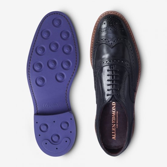 Allen Edmonds McTavish Wingtip Oxford Dress Shoe? Black efkls8Mw