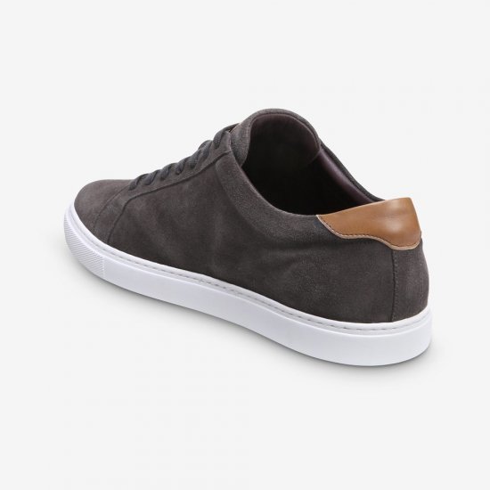 Allen Edmonds Courtside Sneaker Grey Suede QDJRiOrr