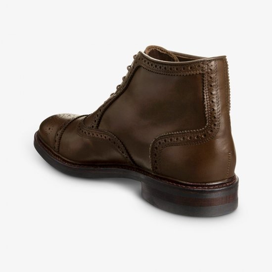 Allen Edmonds Hamilton Weatherproof Oxford Dress Boot Brown mstWXmQZ