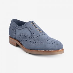 Allen Edmonds Neumok Suede Wingtip Oxford? Blue oo4Me6Tu