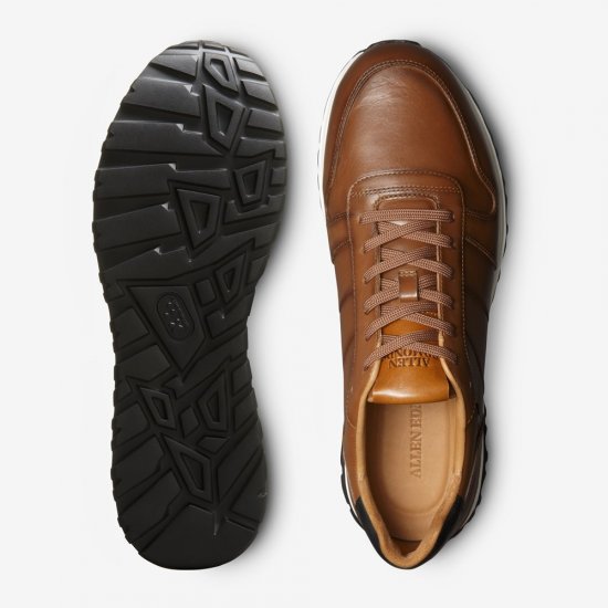 Allen Edmonds Lawson Lace-up Sneaker Chestnut Leather rnRxTTDH